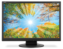 Monitor Front